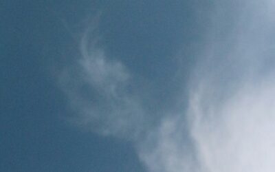 David’s Son and Lord: A Reflection on Mark 12:35–37